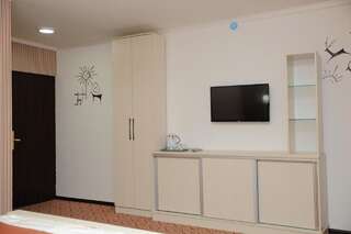 Отель Aska Hotel Naryn Улучшенный двухместный номер с 1 кроватью-2
